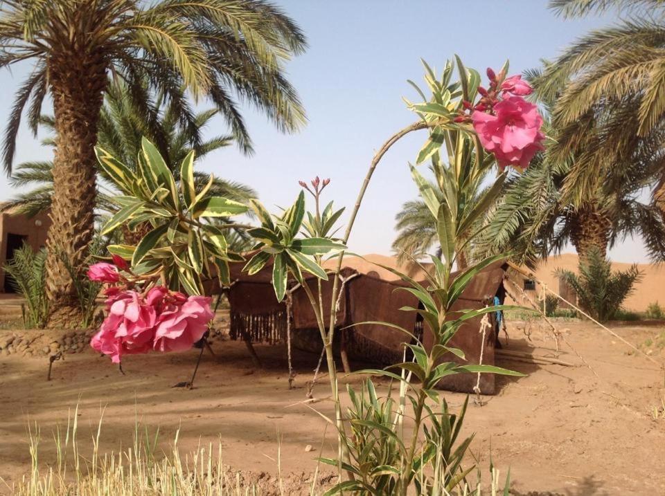 Hotel Chez Madani M'Hamid Esterno foto