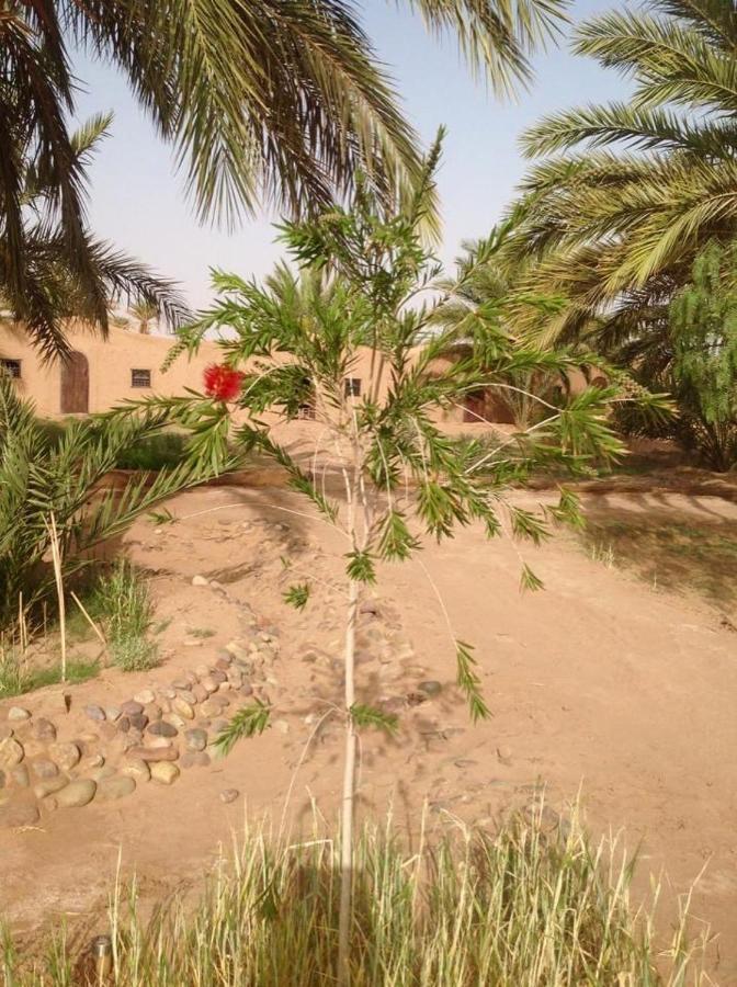 Hotel Chez Madani M'Hamid Esterno foto